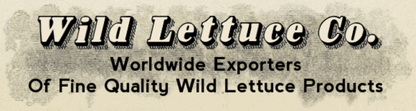 Wildlettuce.com